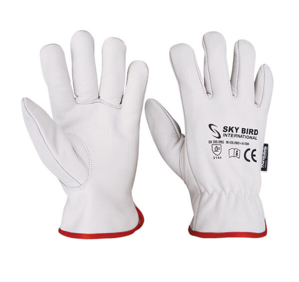Driving Gloves